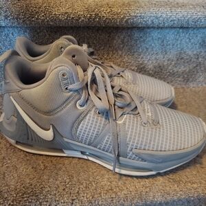 Nike Lebron Basketball Shoe